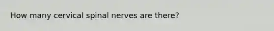 How many cervical spinal nerves are there?