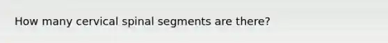How many cervical spinal segments are there?