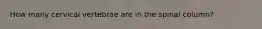 How many cervical vertebrae are in the spinal column?