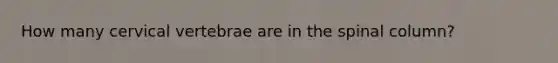 How many cervical vertebrae are in the spinal column?