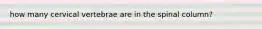 how many cervical vertebrae are in the spinal column?