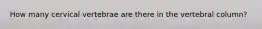 How many cervical vertebrae are there in the vertebral column?