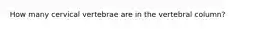How many cervical vertebrae are in the vertebral column?