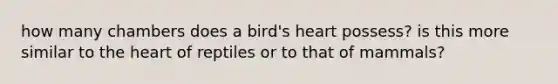 how many chambers does a bird's heart possess? is this more similar to the heart of reptiles or to that of mammals?