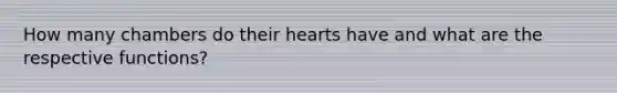 How many chambers do their hearts have and what are the respective functions?