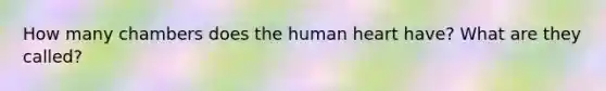 How many chambers does the human heart have? What are they called?