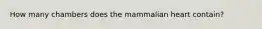 How many chambers does the mammalian heart contain?