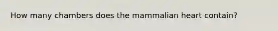 How many chambers does the mammalian heart contain?