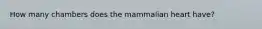 How many chambers does the mammalian heart have?