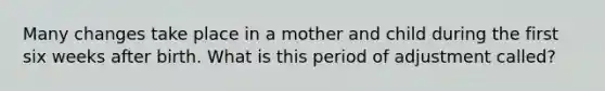 Many changes take place in a mother and child during the first six weeks after birth. What is this period of adjustment called?