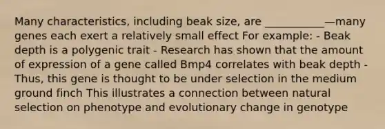 Many characteristics, including beak size, are ___________—many genes each exert a relatively small effect For example: - Beak depth is a polygenic trait - Research has shown that the amount of expression of a gene called Bmp4 correlates with beak depth - Thus, this gene is thought to be under selection in the medium ground finch This illustrates a connection between natural selection on phenotype and evolutionary change in genotype