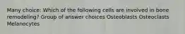 Many choice: Which of the following cells are involved in bone remodeling? Group of answer choices Osteoblasts Osteoclasts Melanocytes