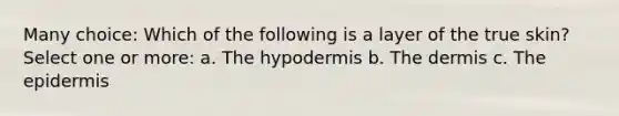 Many choice: Which of the following is a layer of the true skin? Select one or more: a. <a href='https://www.questionai.com/knowledge/ktsCAWWU5U-the-hypodermis' class='anchor-knowledge'>the hypodermis</a> b. <a href='https://www.questionai.com/knowledge/kEsXbG6AwS-the-dermis' class='anchor-knowledge'>the dermis</a> c. <a href='https://www.questionai.com/knowledge/kBFgQMpq6s-the-epidermis' class='anchor-knowledge'>the epidermis</a>