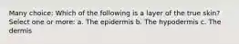 Many choice: Which of the following is a layer of the true skin? Select one or more: a. The epidermis b. The hypodermis c. The dermis