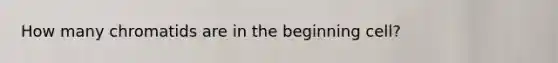 How many chromatids are in the beginning cell?