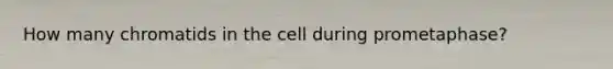 How many chromatids in the cell during prometaphase?