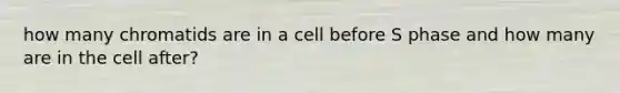 how many chromatids are in a cell before S phase and how many are in the cell after?