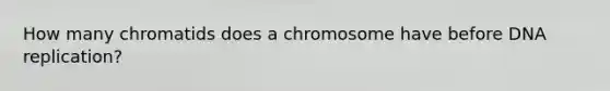 How many chromatids does a chromosome have before DNA replication?