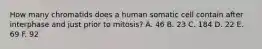 How many chromatids does a human somatic cell contain after interphase and just prior to mitosis? A. 46 B. 23 C. 184 D. 22 E. 69 F. 92