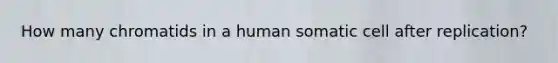 How many chromatids in a human somatic cell after replication?