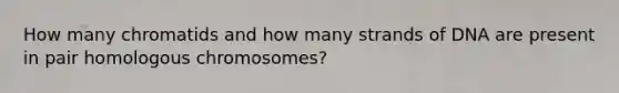 How many chromatids and how many strands of DNA are present in pair homologous chromosomes?