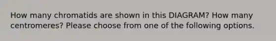 How many chromatids are shown in this DIAGRAM? How many centromeres? Please choose from one of the following options.