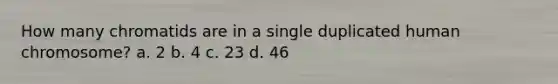 How many chromatids are in a single duplicated human chromosome? a. 2 b. 4 c. 23 d. 46