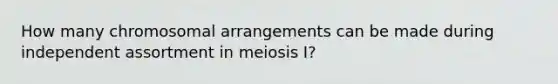 How many chromosomal arrangements can be made during independent assortment in meiosis I?