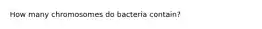 How many chromosomes do bacteria contain?