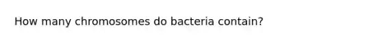 How many chromosomes do bacteria contain?