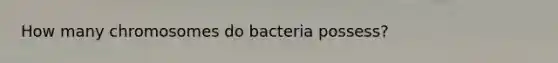 How many chromosomes do bacteria possess?