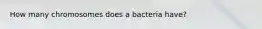 How many chromosomes does a bacteria have?