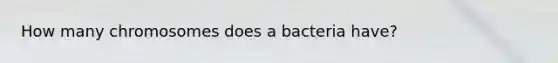 How many chromosomes does a bacteria have?