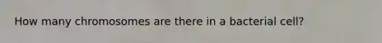 How many chromosomes are there in a bacterial cell?