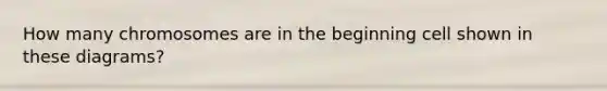 How many chromosomes are in the beginning cell shown in these diagrams?