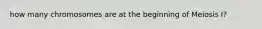 how many chromosomes are at the beginning of Meiosis I?