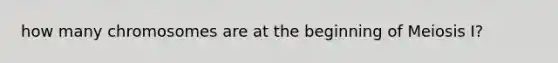 how many chromosomes are at the beginning of Meiosis I?