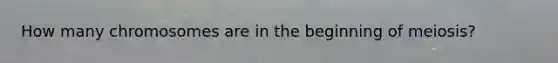 How many chromosomes are in the beginning of meiosis?