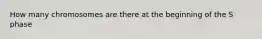 How many chromosomes are there at the beginning of the S phase
