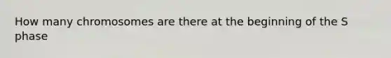 How many chromosomes are there at the beginning of the S phase