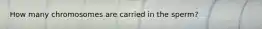 How many chromosomes are carried in the sperm?
