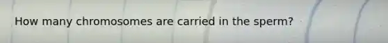 How many chromosomes are carried in the sperm?