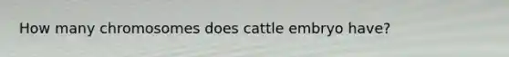 How many chromosomes does cattle embryo have?