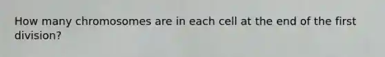 How many chromosomes are in each cell at the end of the first division?