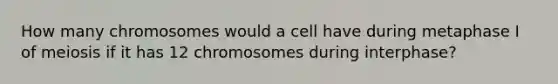 How many chromosomes would a cell have during metaphase I of meiosis if it has 12 chromosomes during interphase?