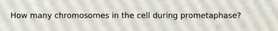 How many chromosomes in the cell during prometaphase?