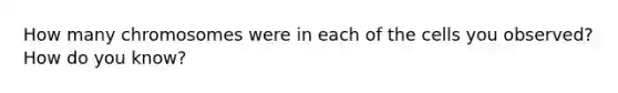 How many chromosomes were in each of the cells you observed? How do you know?