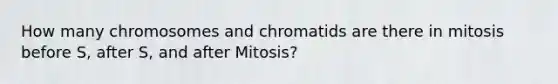 How many chromosomes and chromatids are there in mitosis before S, after S, and after Mitosis?