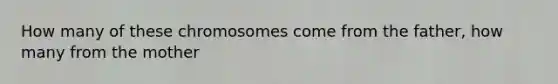 How many of these chromosomes come from the father, how many from the mother