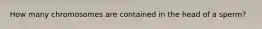 How many chromosomes are contained in the head of a sperm?